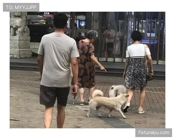 谌龙退役后住进月租8万的上海顶层复式,每天5点起床遛狗 谌龙退役后住进月租8万的上海顶层复式,每天5点起床遛狗